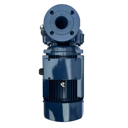 Циркуляционный насос MAXPUMP F 32-200/55